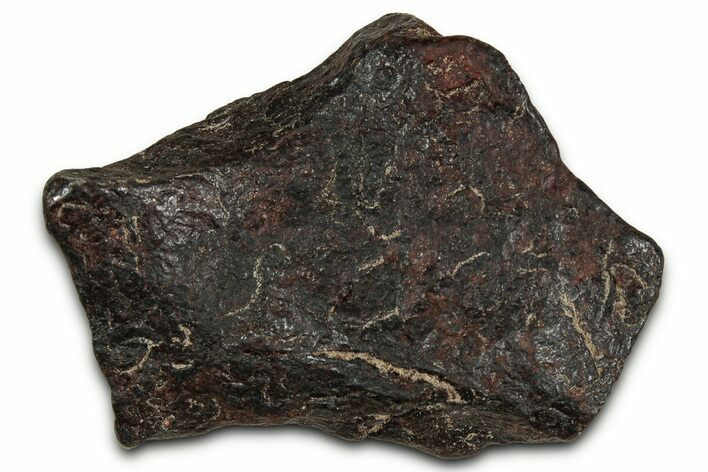 Canyon Diablo Iron Meteorite ( g) - Arizona #356016